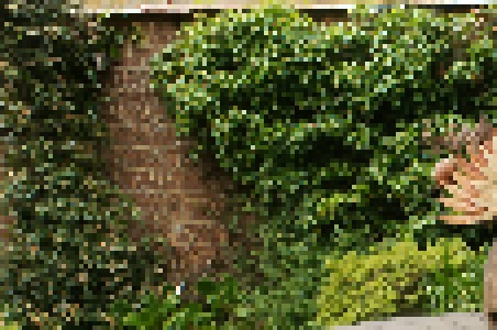 3DGEER: Mip-NeRF 360 · garden