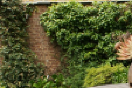 Ground truth: Mip-NeRF 360 · garden