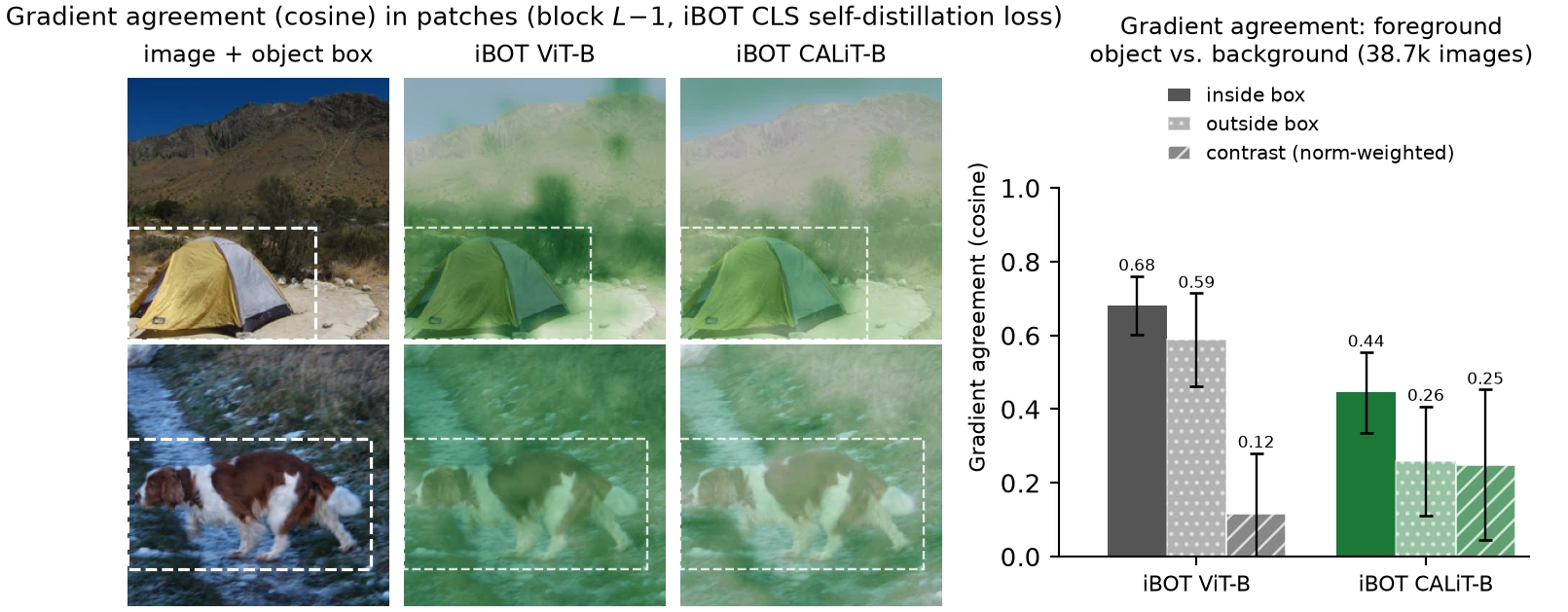 Gradient agreement maps and bar chart for iBOT ViT-B and CALiT-B under iBOT's CLS self-distillation loss