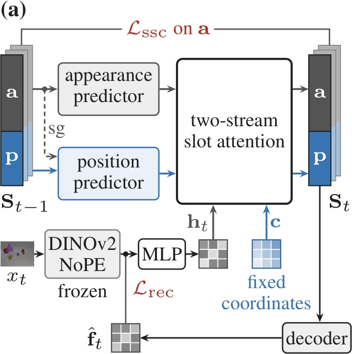The two-stream slot in training